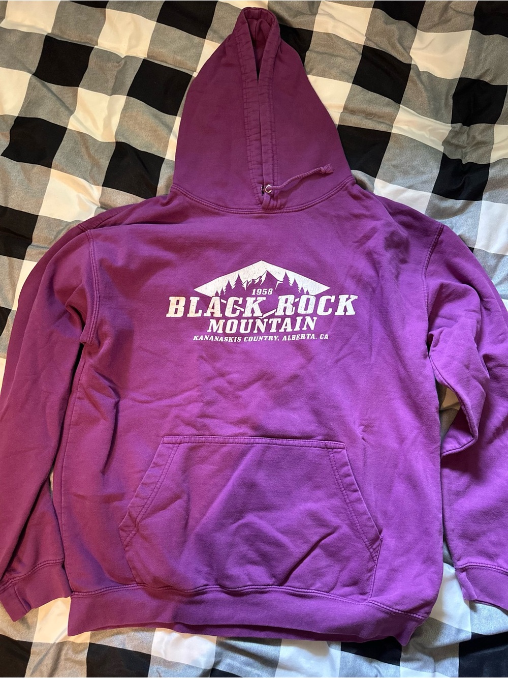 Purple Hoodie Sweatshirt
